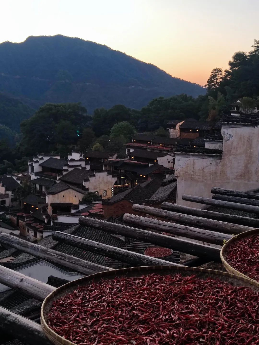 【游记|上饶#01】在婺源邂逅一场晒秋之旅