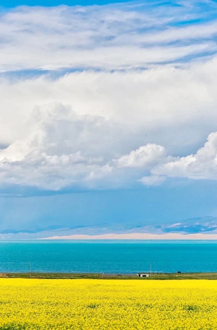 Self-driving丨Chengdu-Qinghai Lake Great Ring Road Nine-Day Guide in July丨Chaka Salt Lake丨Emerald Lake丨Route 66丨Hexi Corridor丨Dunhuang Mogao Grottoes|Menyuan Rapeseed Flowers丨