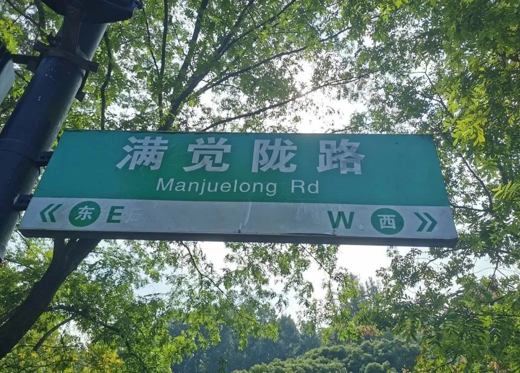 杭州游记丨从满觉陇到杭州动物园