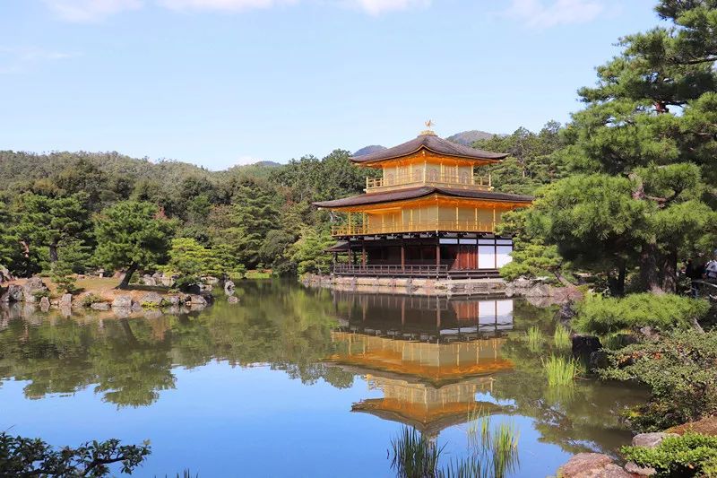 Travel Notes on Japan Under Typhoon - Notes on Japan Trip in 2019 (Part 4)