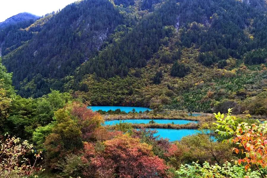 瑶池本是在人间——九寨沟黄龙之旅(上)