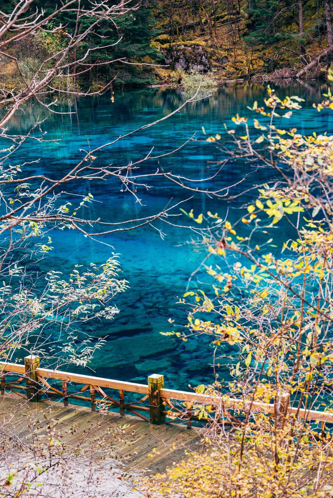 Notes on a trip to Sichuan | Romantic appointment in the autumn fairy tale Jiuzhaigou (Part 2)