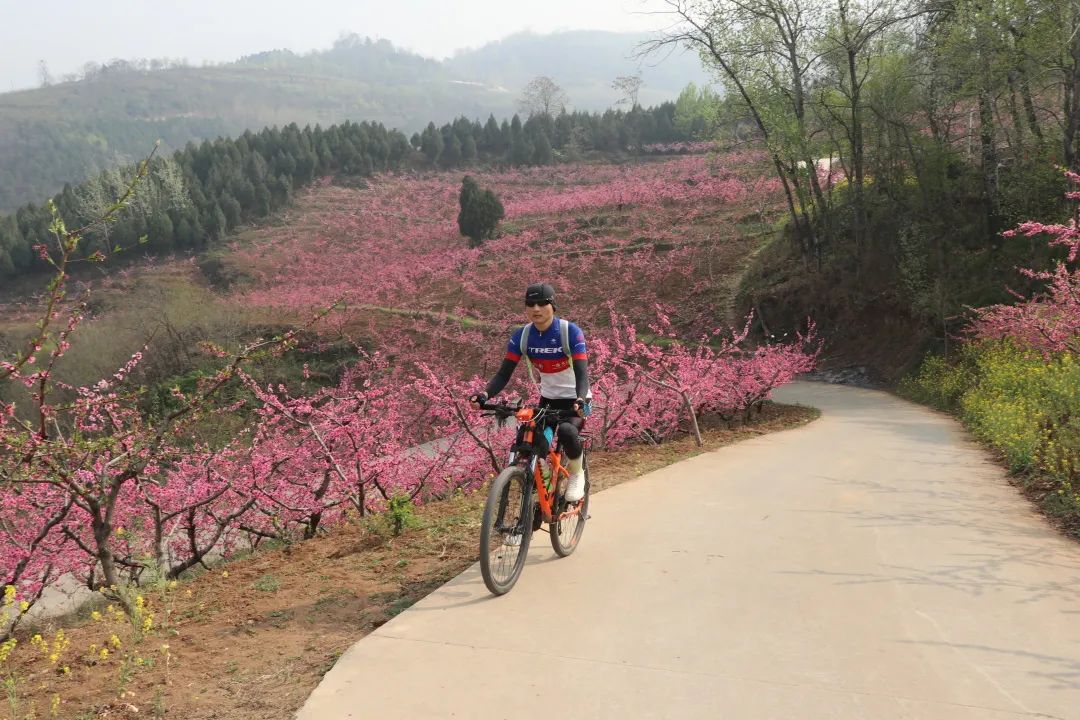 Cycling to Weiqunan → Liuquankou Village 100KM & admiring the peach blossoms on the mountain