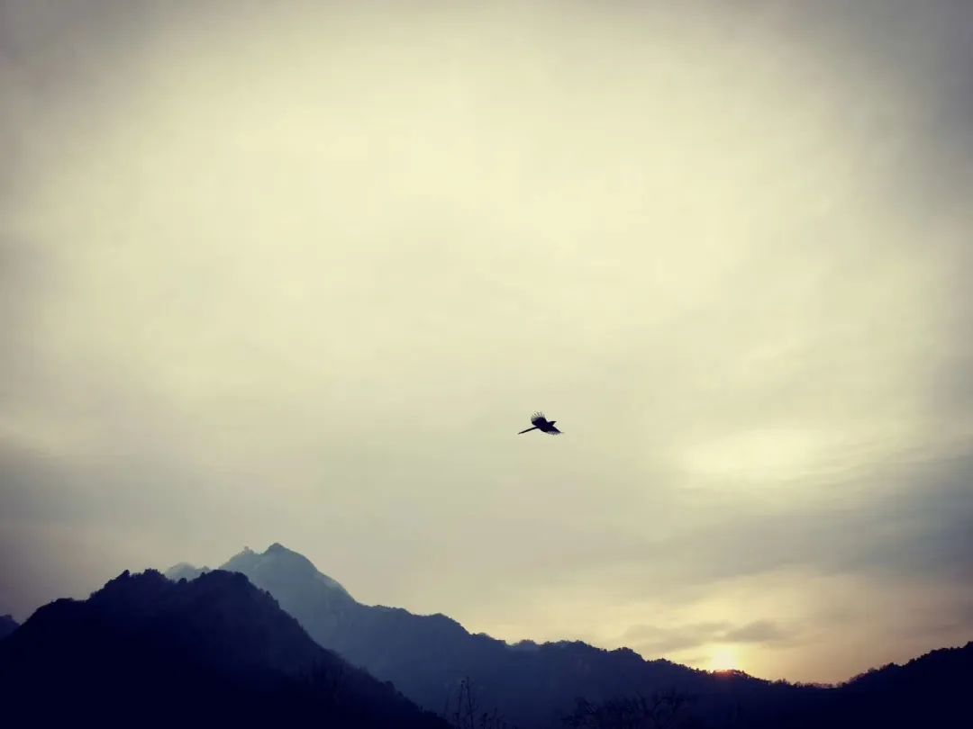 犹记当时景,悠悠终南里的黄昏古乐之约!| 活动回顾