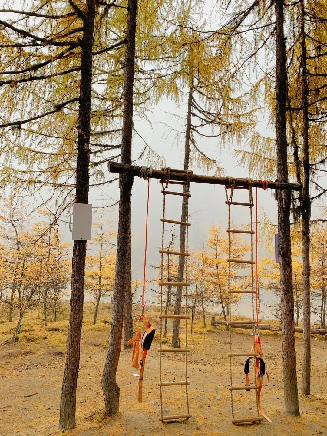 Autumn Encounter • Bi Peng Ditch