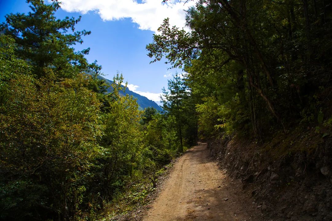 Yubeng Travels|Ninong Grand Canyon