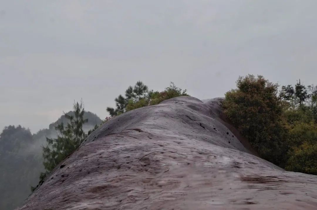 我们去爬一座叫牯牛背的山