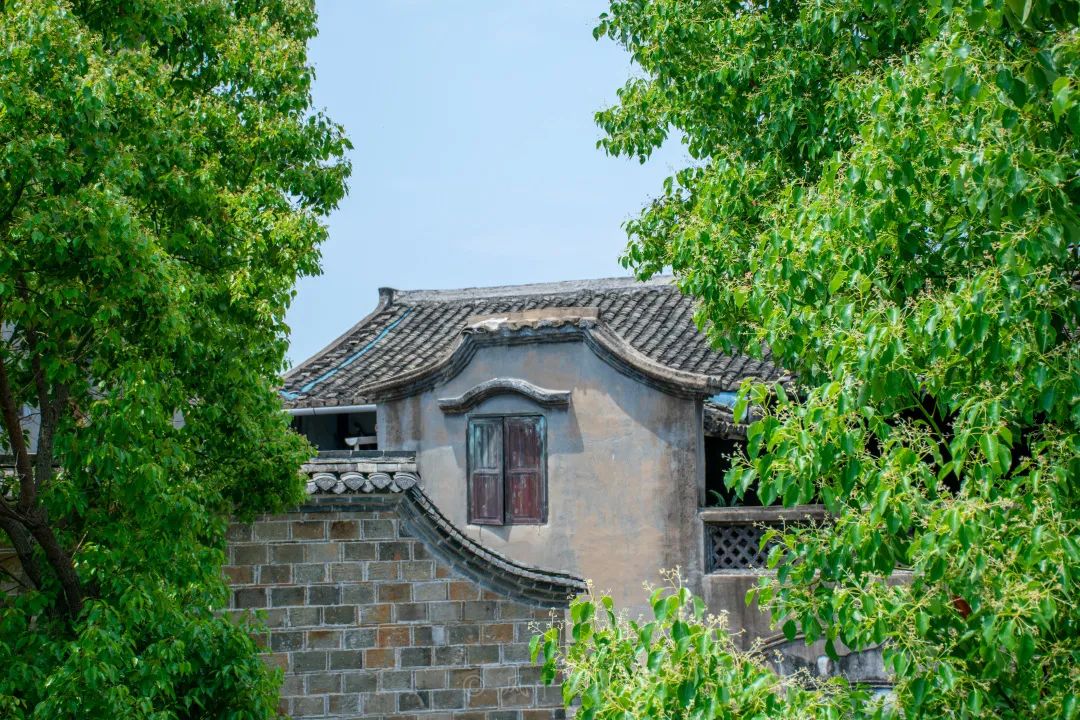 汀洲游记|客家首府,大美汀洲