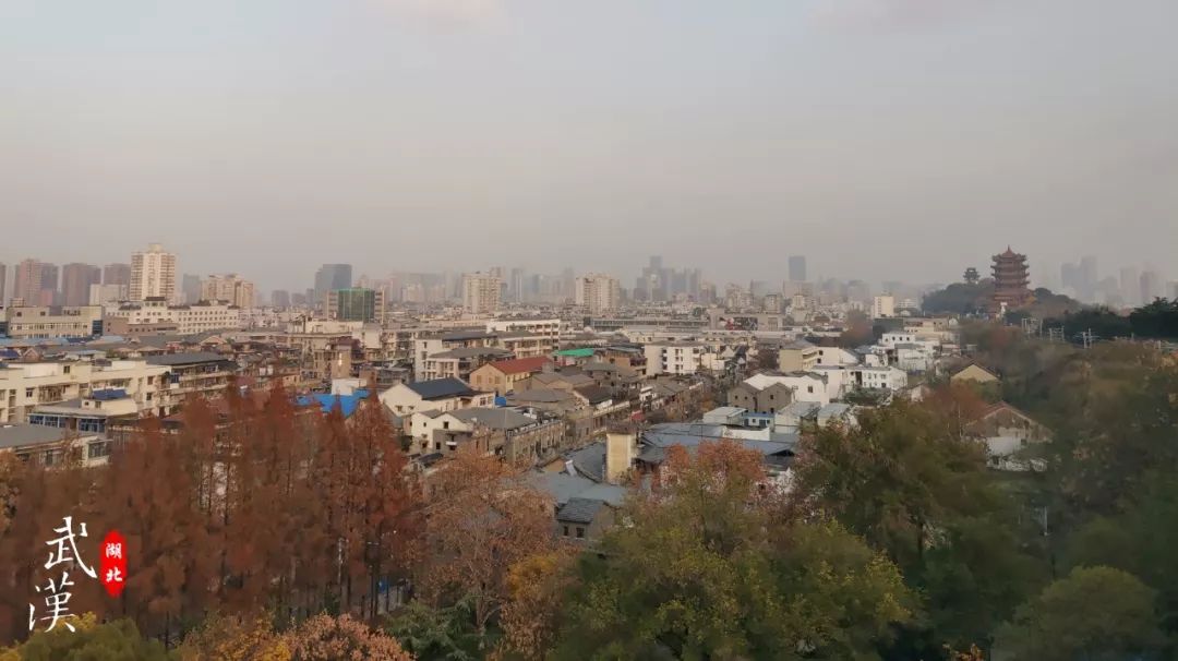 Travel Notes | 4-day tour of Wuhan, experience the difference every day