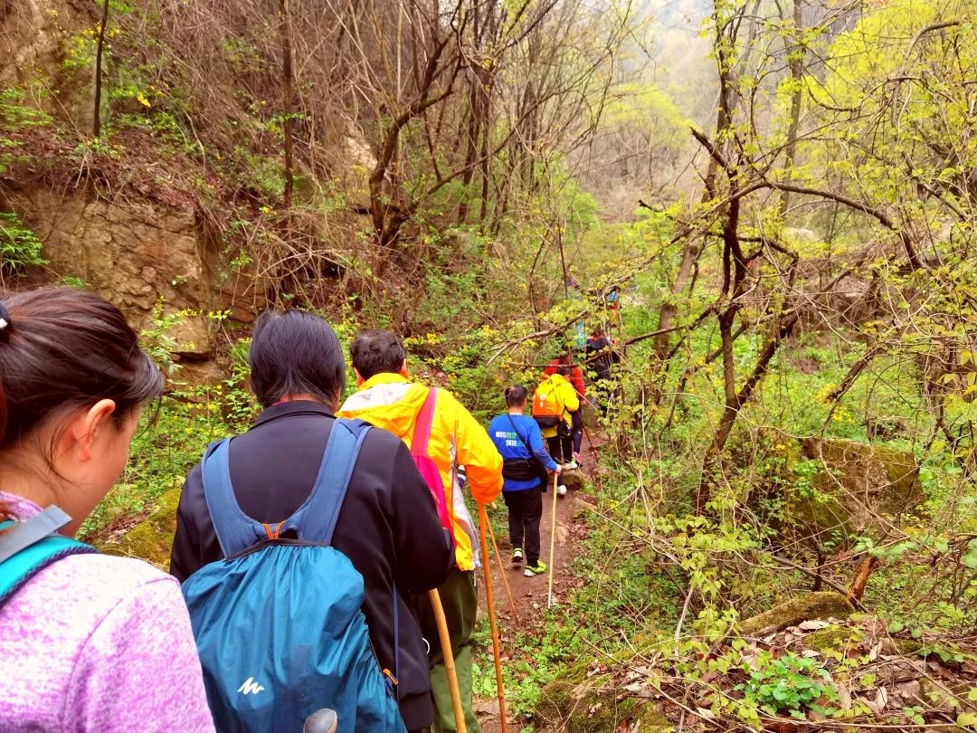 Go up to Huangyu Temple on the 5th, and hike to the top of Huangyu Valley to pass through the three temples and admire the white plum blossoms all over the mountain.