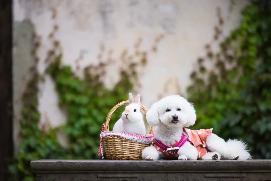 Beibei Travel Notes | 2021.05.20 Ningbo Seventeenth House & Jiulong Lake Three-Day Tour