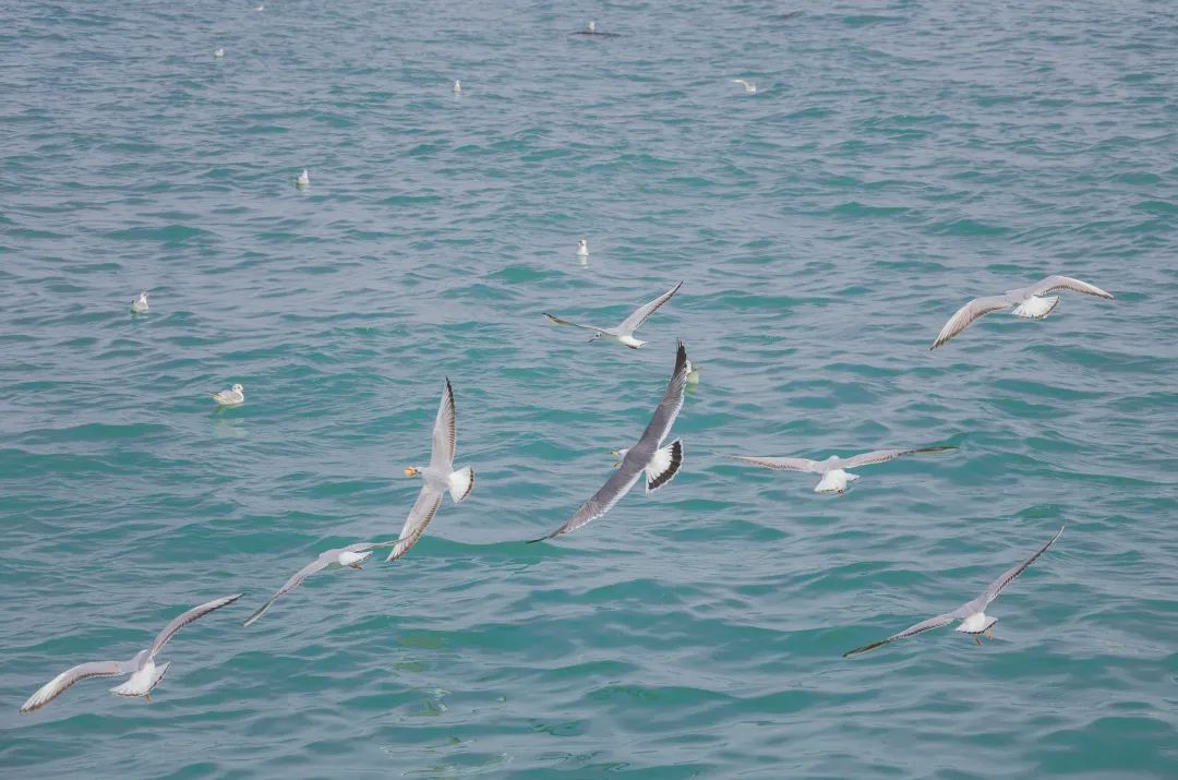 Travel Notes | Qingdao Notes