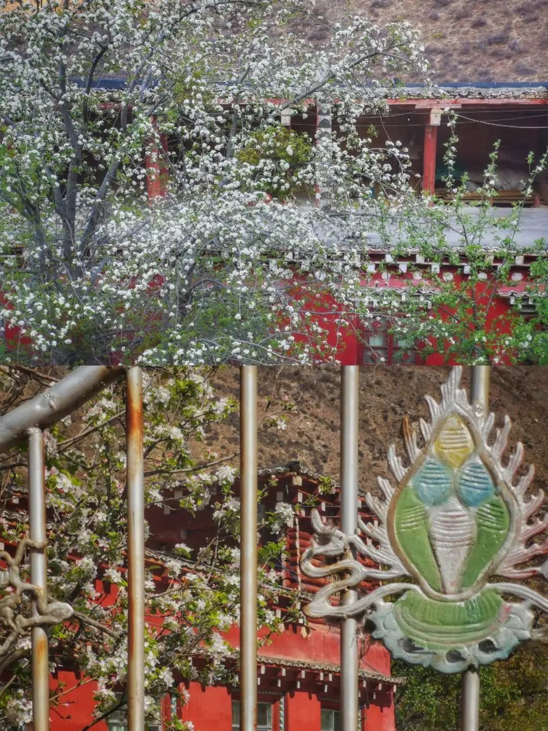 徒步318|走路去西藏 DAY24:莫多乡-巴塘县城