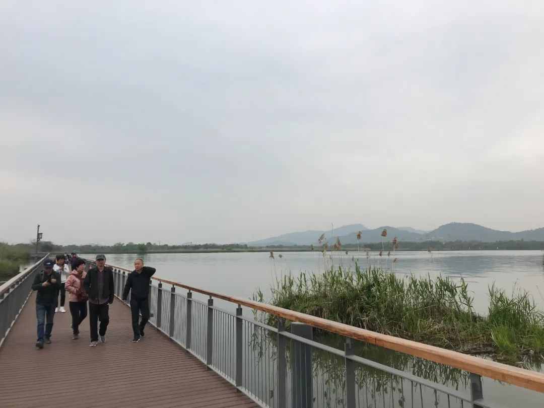 Qingming Travel Notes | Walking to Xiazhu Lake