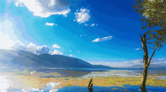 Yunnan Flying Travel Notes (3) ~ Dai Township, Fruits, Slow Tune in Xishuangbanna