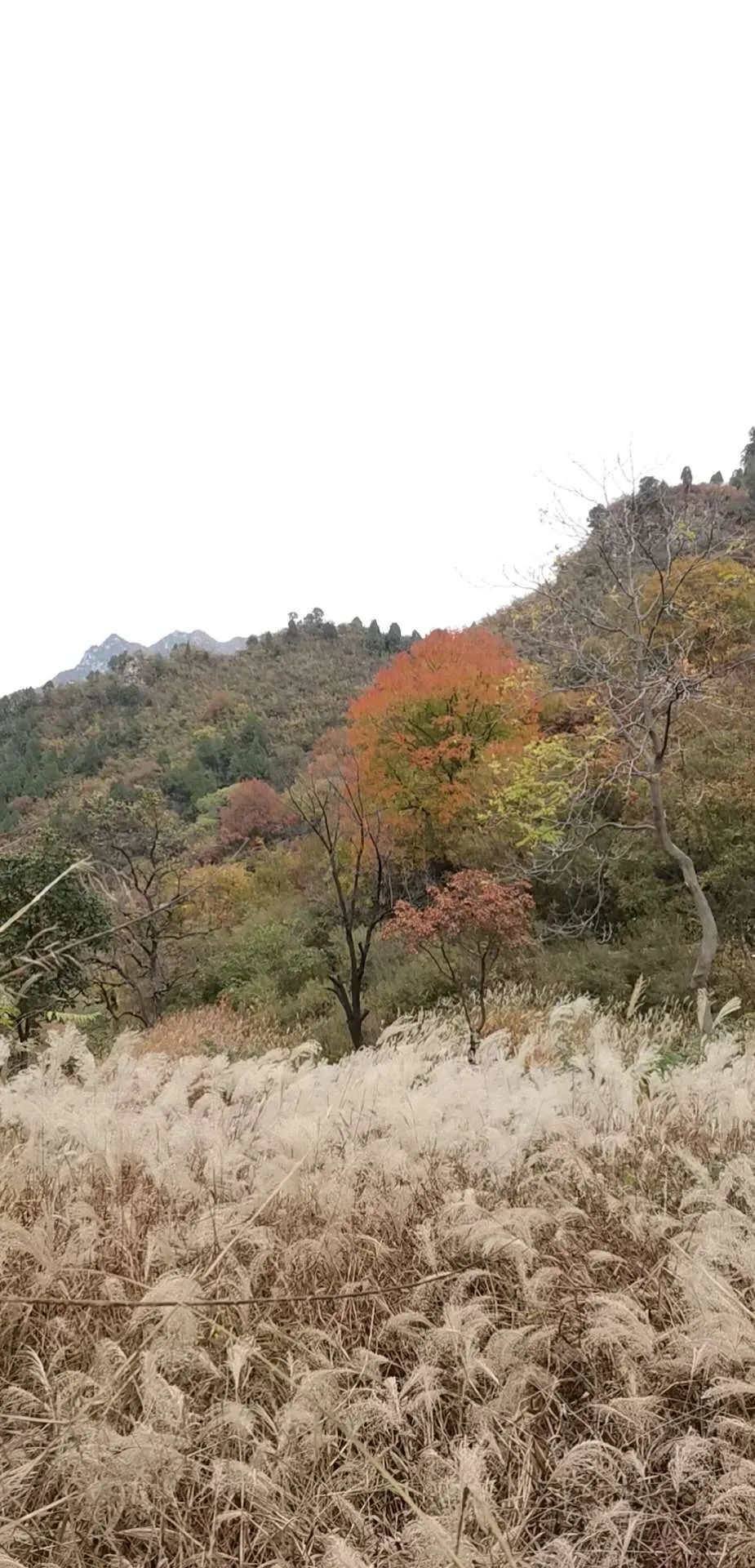 Hulu Temple Travel Notes