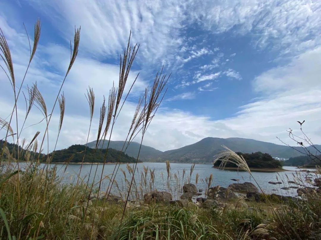 National Day Travel Notes: The long and lush autumn mood stretches endlessly on the Wuyue Ancient Road in early autumn