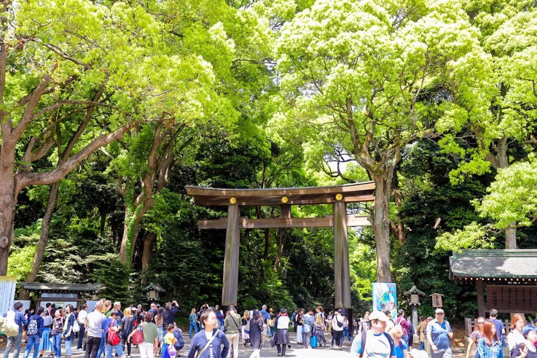 Japan Travel Notes | Meiji Jingu Shrine, the largest green space in the center of Tokyo.
