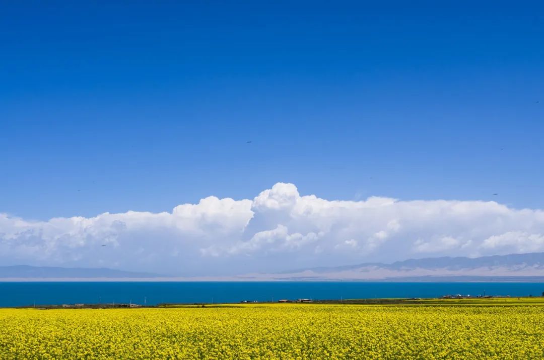 Qinghai Lake Travel Notes