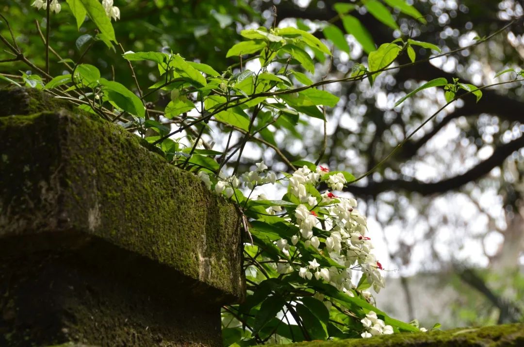 [Mi You Travel] Xiamen Chronicles, Summer Love