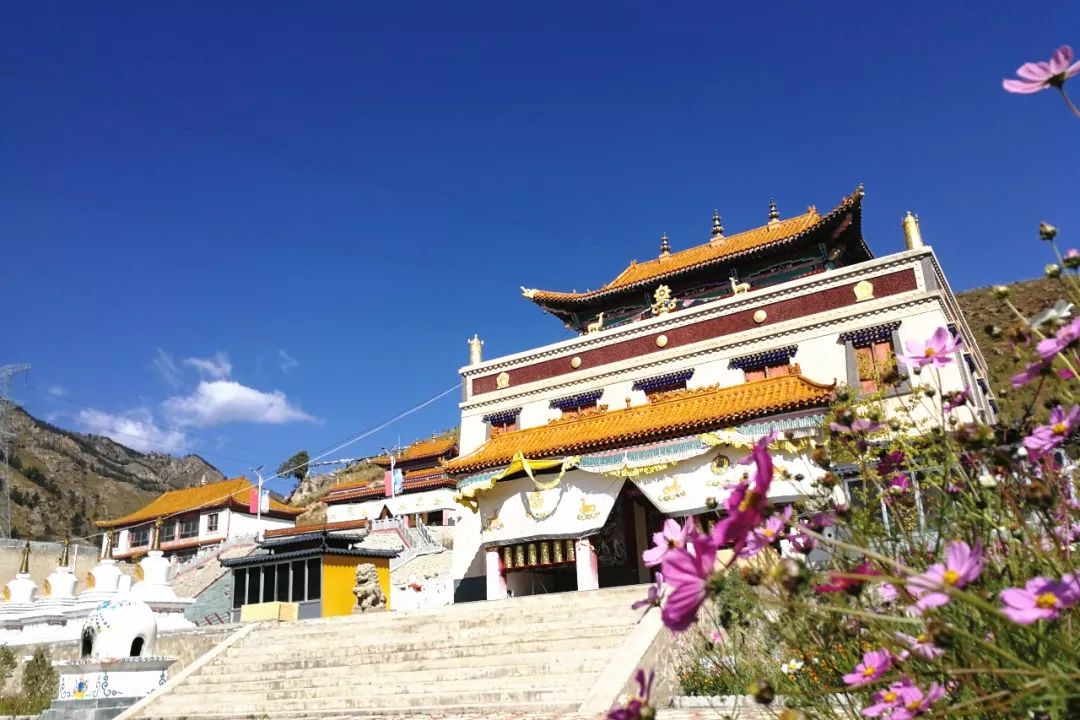 游记|一路转经,再回西宁