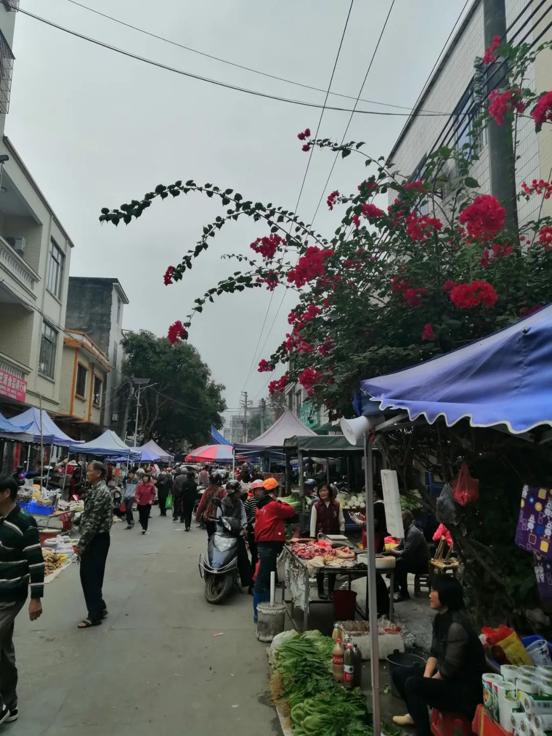 敬翔游记丨岗美?岗尾!