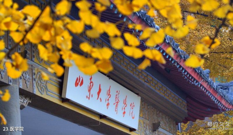 Yantai Penglai Ocean Polar World Travel Guide