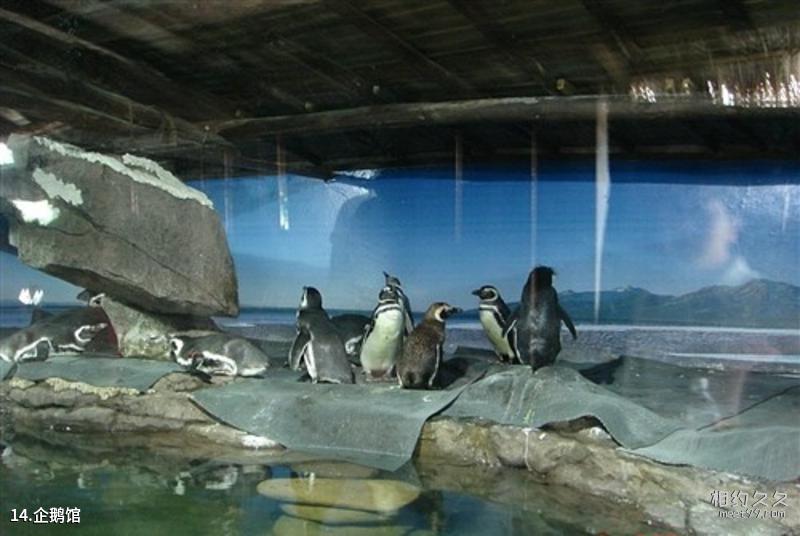 Hangzhou Pipawan Ecological Park Tourism Guide
