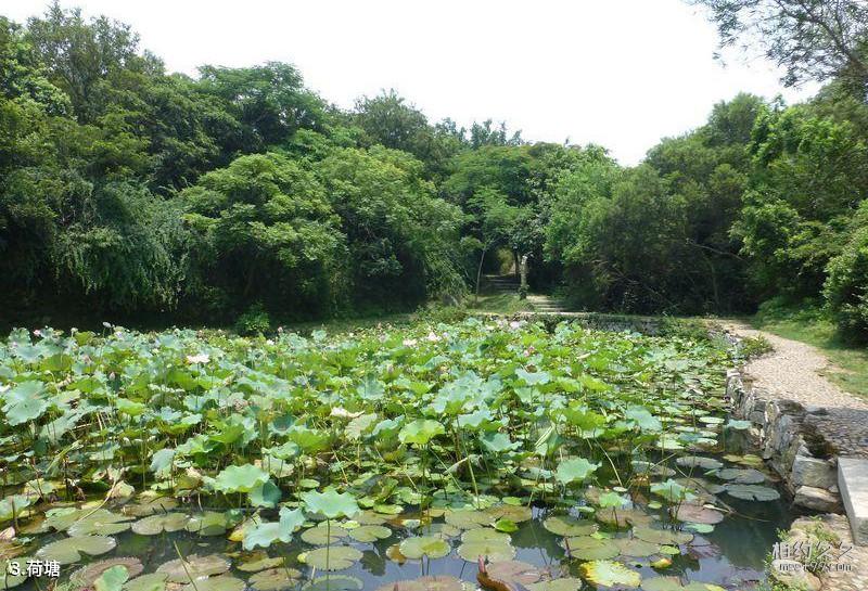 Fujian Suyan Temple Travel Guide