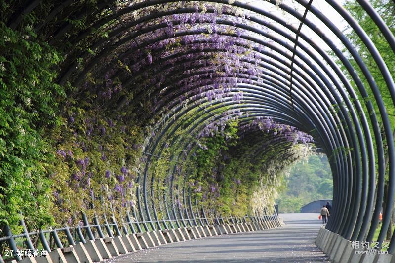 Shanghai Ancient City Park Travel Guide