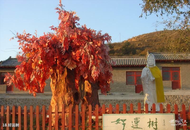 Guía de viaje del área escénica de los lagos Longnanxi y Wanxia