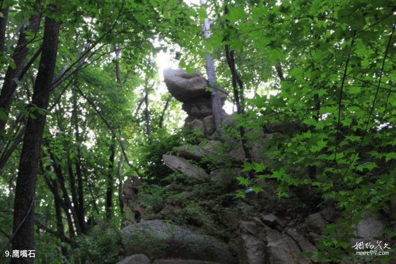 Tieling Panlong Mountain Scenic Area Tourism Guide