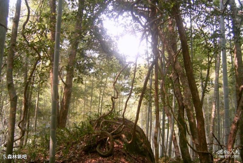 Yuhua Cave Scenic Area Travel Guide