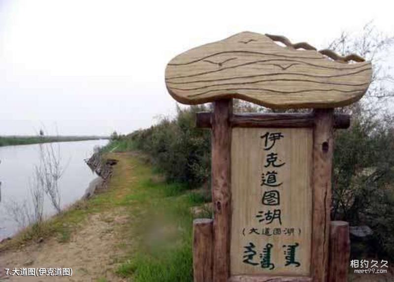 Ejina Populus euphratica 숲 여행 가이드
