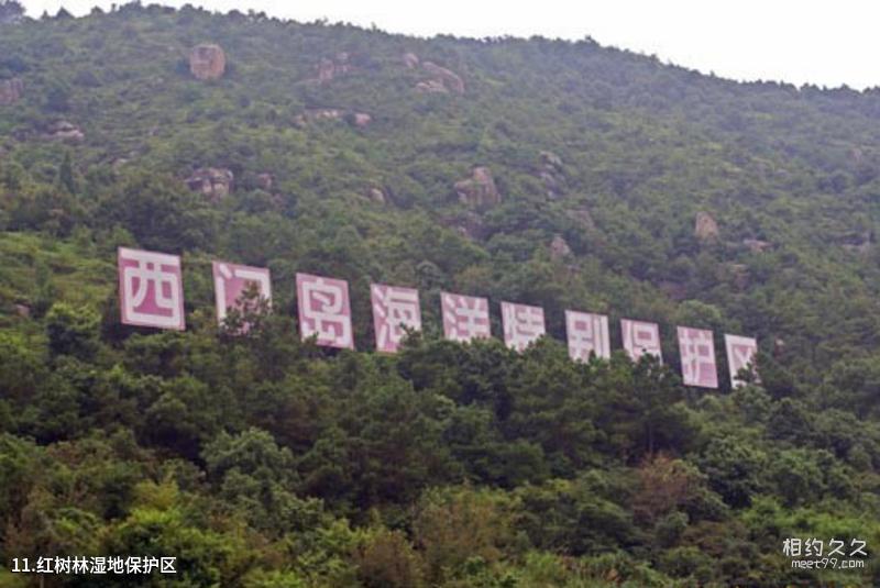 Cangnan Wanyao Ancient Village Travel Guide