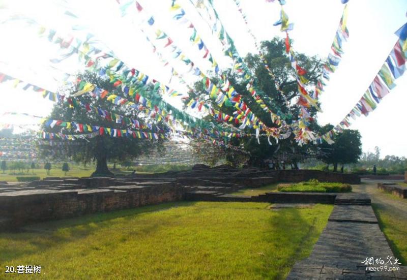 Sri Lanka Lion Rock Travel Guide