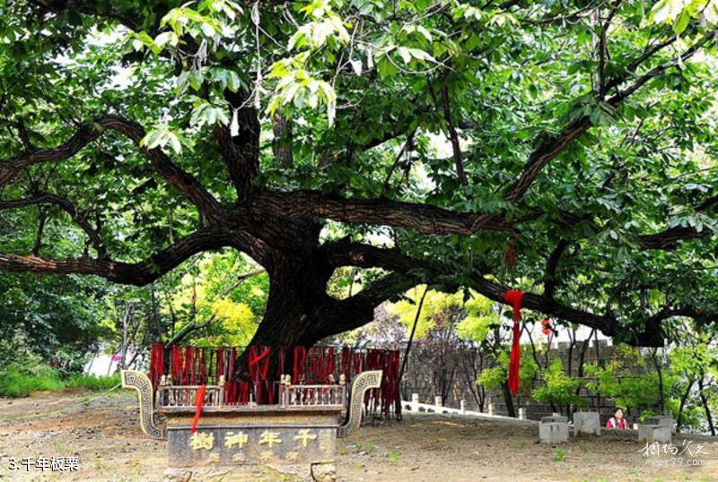 赤峰将军泡子旅游攻略