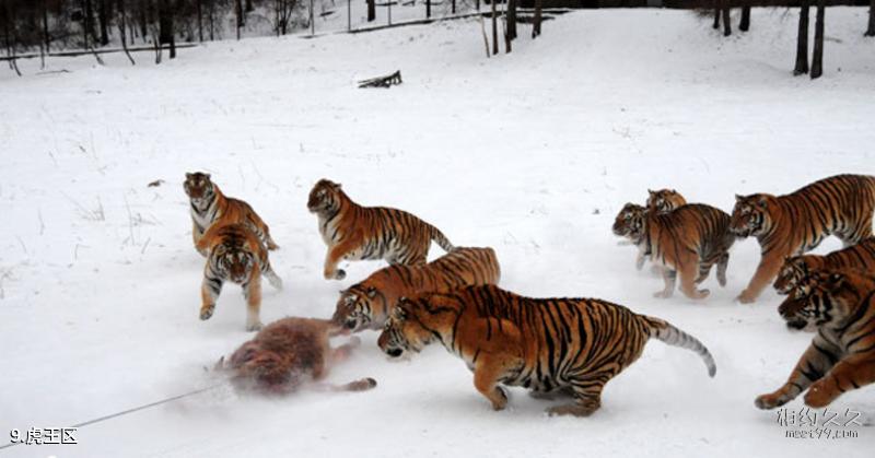 Shangganling Xishui National Forest Park Travel Guide