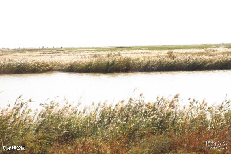 Jilin Yanming Lake National Nature Reserve Tourism Guide