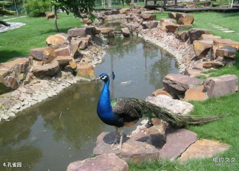 Nepal Lumbini Garden Travel Guide