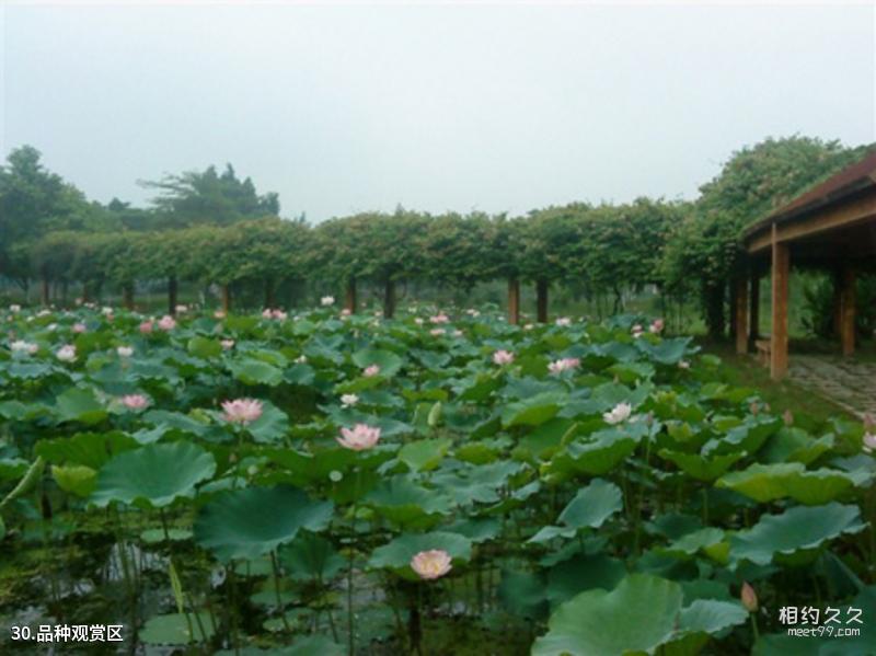Huangpu Military Academy Site Travel Guide