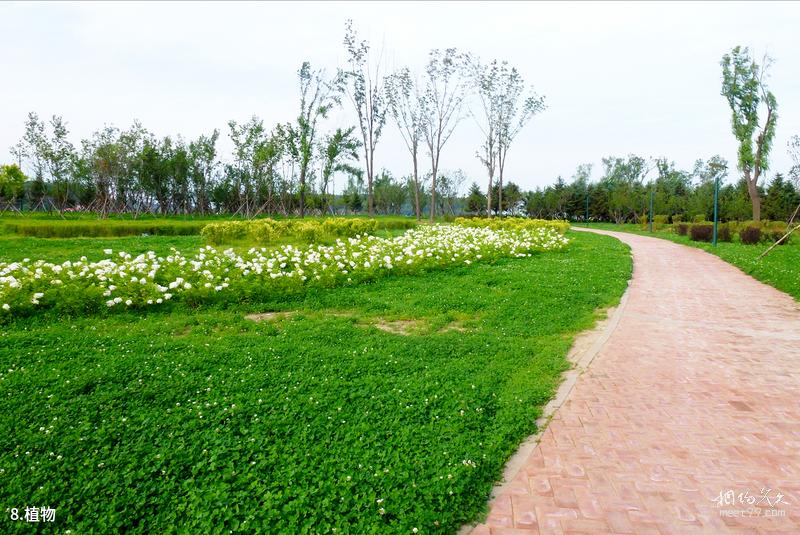 Hohhot Suiyuan General Mansion Travel Guide