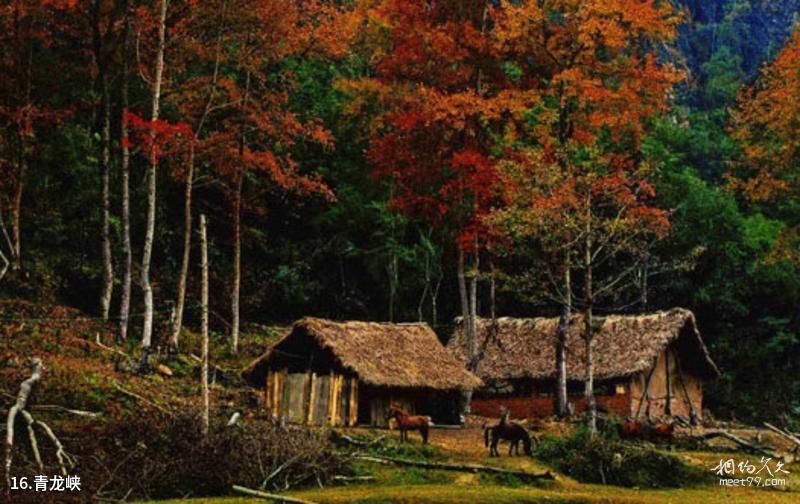 Chishui Red Stone Wild Valley Scenic Spot Travel Guide