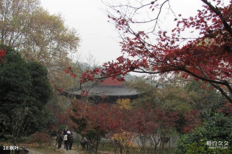 Travel Guide to Xuzhou Yunlong Mountain