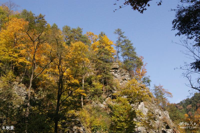 Guía de viaje del parque forestal Baoji Taibai Qingfengxia