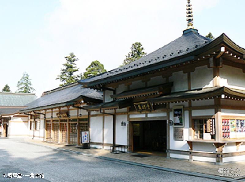 Japan Yakushima Travel Guide