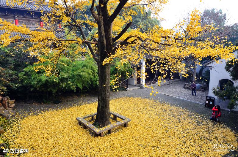 Tianmu Lake Tourist Resort Travel Guide