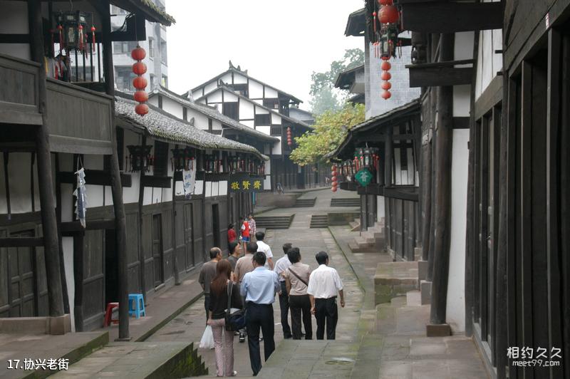 Chengdu Research Base of Giant Panda Breeding Travel Guide