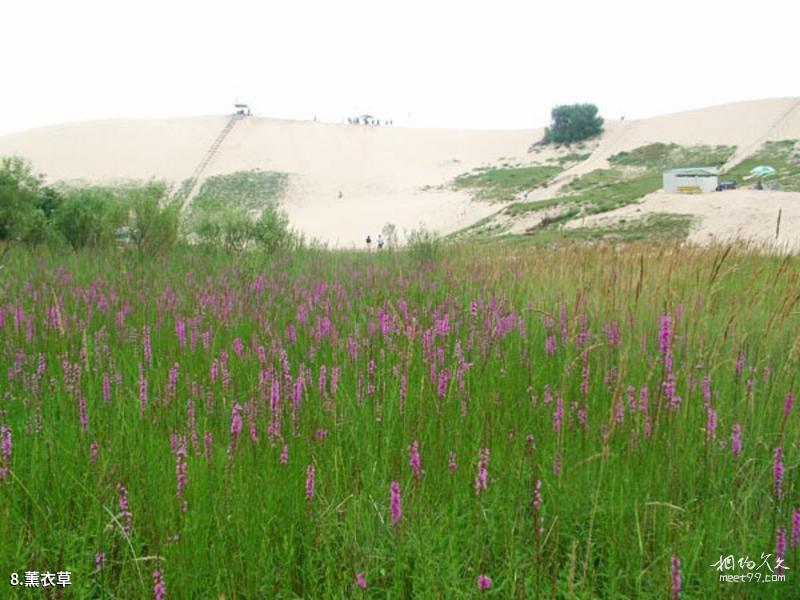 Fushun Shili Waterfront Park Travel Guide