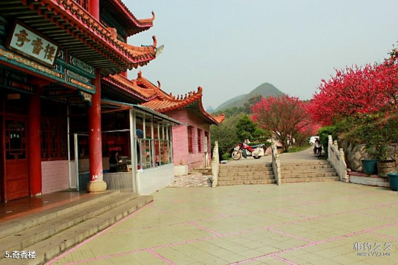 Zhoushan Ma'ao Tourist Area Travel Guide